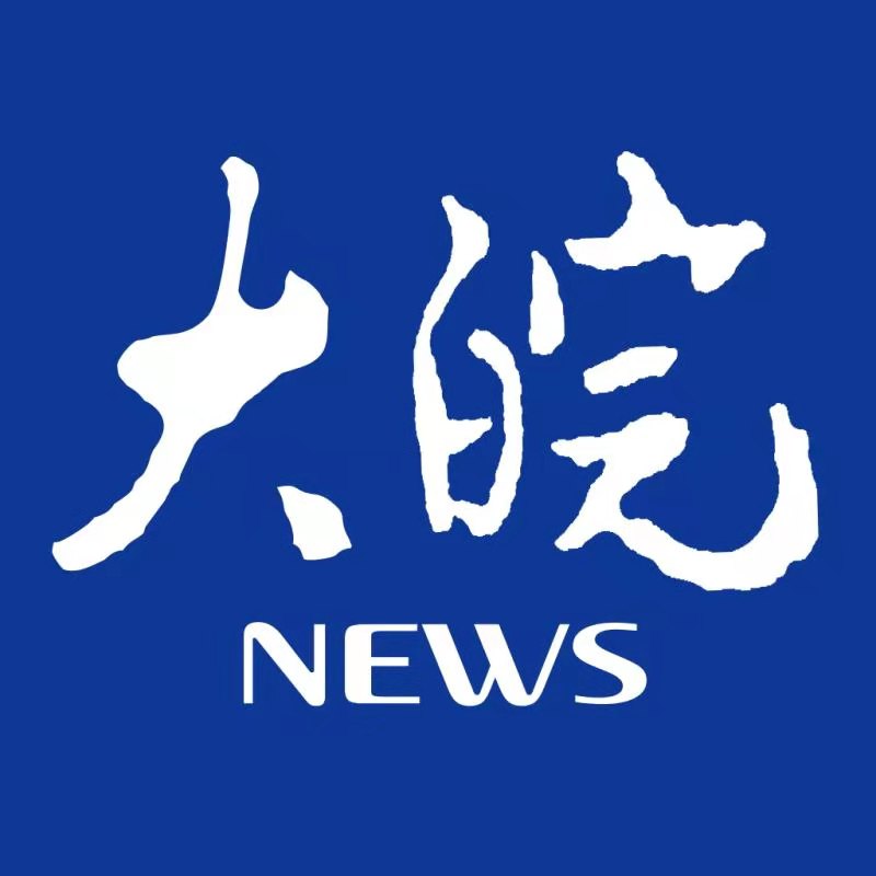 大皖新闻标识